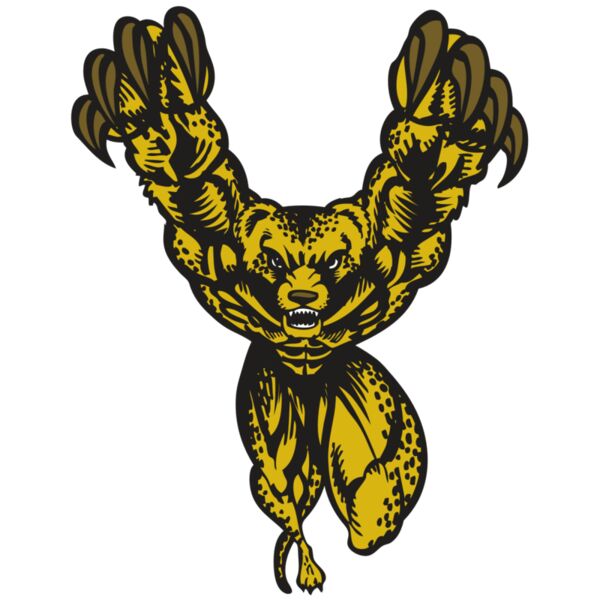 BAW CHEETAH 09 RC Thumbnail