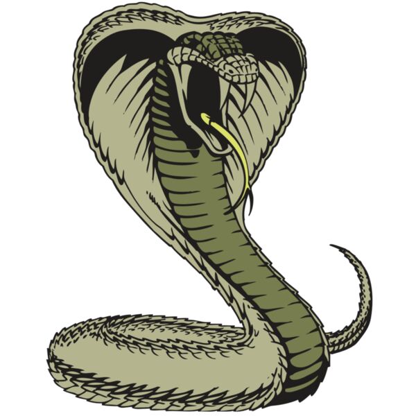 BAW SNAKE 07 RC Thumbnail